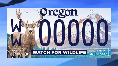 Watch for Wildlife: Vouchers on sale now for proposed new Oregon license plate