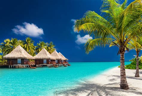 Maldives : un hotel paradisiaque lance un forfait à 25000€ pour vivre un an dans un bungalow ...