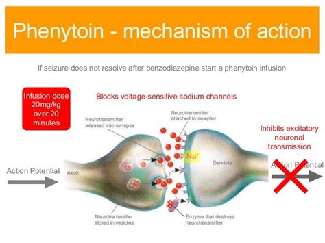 Phenytoin mechanism - Google Search | Pharmacology nursing ...