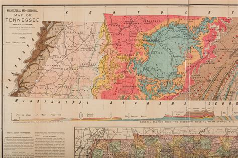 Lot 371: 2 Geological Maps of Tennessee | Case Auctions