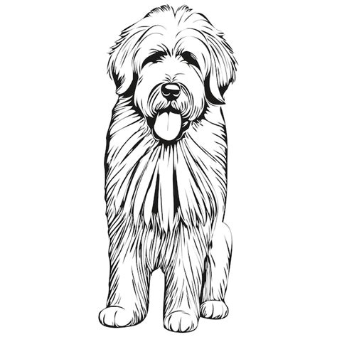 Premium Vector | Old english sheepdog dog ink sketch drawing vintage tattoo or t shirt print ...