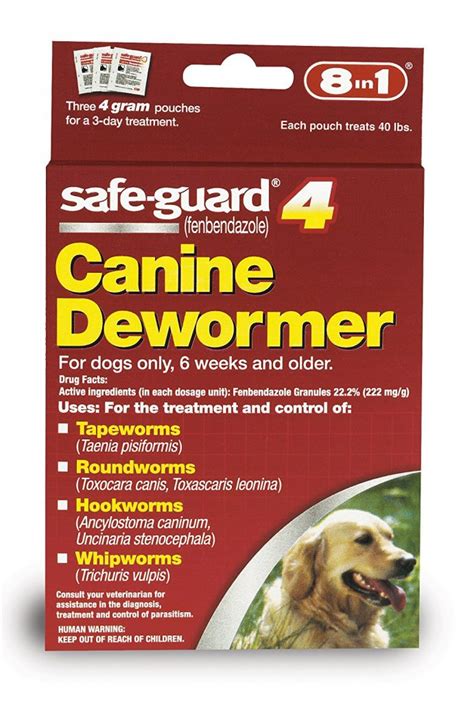 5 Best Dog Wormer For All Worms | Pets Life