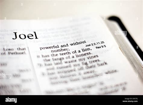 Joel, book of the Bible Stock Photo - Alamy