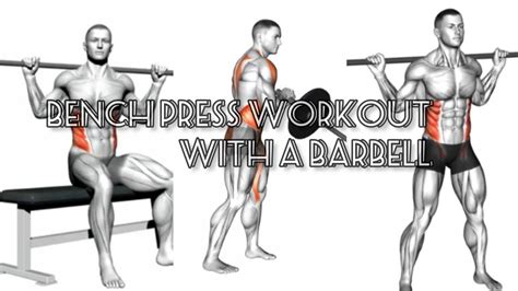 Bench press workout with a barbell(gym) - YouTube