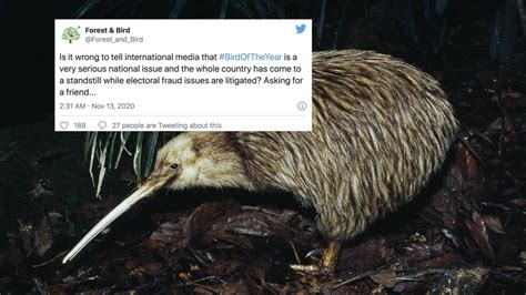 The only voter fraud in 2020 was New Zealand's 'Bird of the Year' vote | Mashable