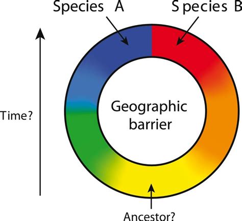 A novel approach for finding ring species: look for barriers rather than rings | BMC Biology ...