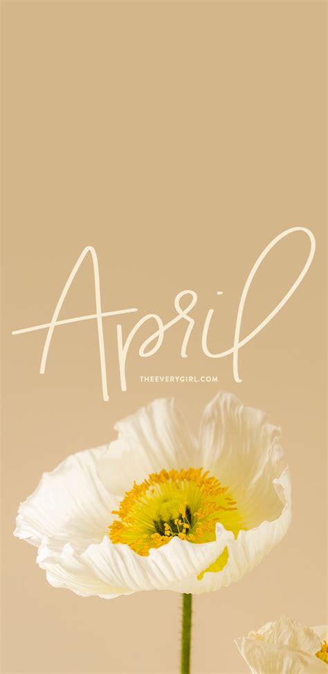 Background April Wallpaper - EnWallpaper