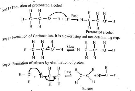 Write the three steps involved in the mechanism of toppr.com