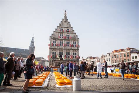 Gouda cheese market - Dutch Countryside