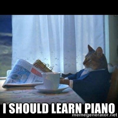 Piano cat | Cat memes, Cat pics, Funny animals