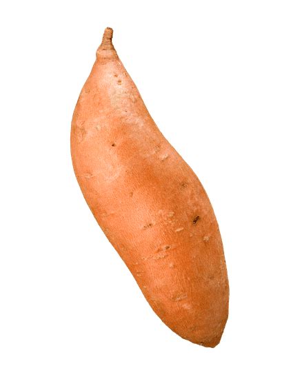 Single Yam transparent PNG - StickPNG