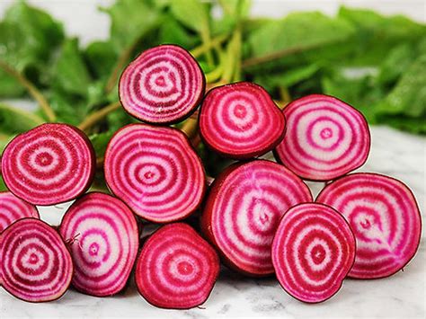 Chioggia Beet - 200 Seeds | seedbankbox