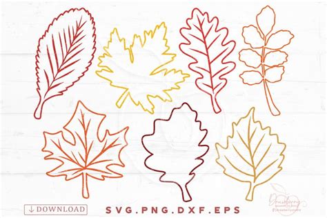 Leaf Outline, Fall Leaves svg, png, clipart Cut files SVG411