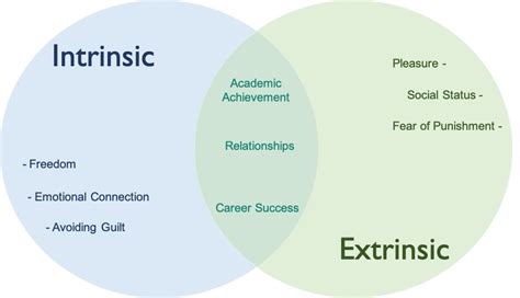 Intrinsic and Extrinsic Motivation | Convertize | Neuromarketing Glossary