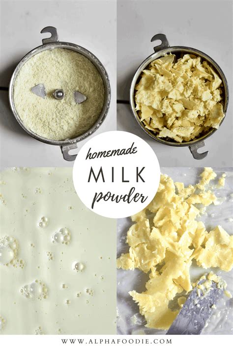 How To Make Powdered Milk At Home - Alphafoodie