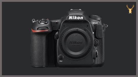 Best Camera for Wildlife Photography 2021 (under 1 Lakh)