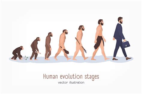 Human Evolution Stages People Illustrations Creative - vrogue.co