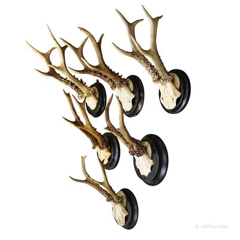 A set of six Black Forest hunting trophies from Germany | artfour.com