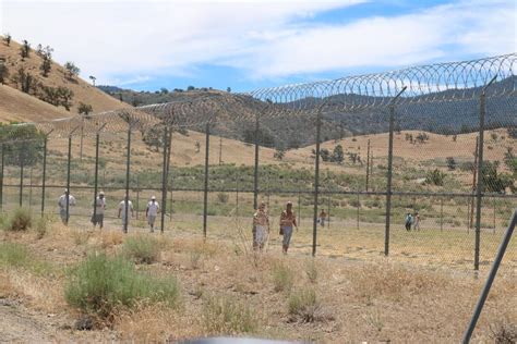 CCI inmates walk for Relay for Life on prison yard | News ...