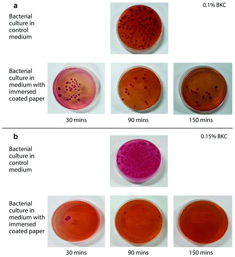 Bacterial cell culture (E. coli) in control experiment and against (a)... | Download Scientific ...