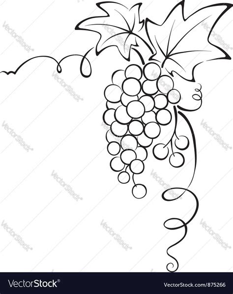 Graphic design - Grapevine Royalty Free Vector Image | Vector free ...