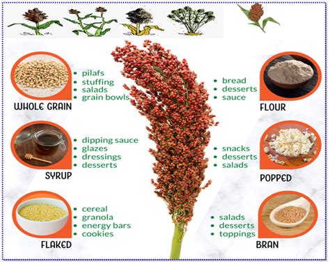 Figure 2. Different product of Sorghum; Flour, popped, bran, flaked, syrup and produce various ...