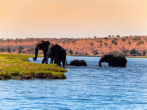 World's Ultimate Experiences OKAVANGO DELTA SAFARI