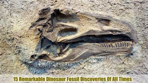 15 BEST Dinosaur Fossil Discoveries Of All Times | Bio Explorer
