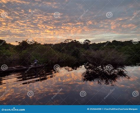 Sunrise of the Amazon Rainforest Stock Photo - Image of relaxing ...