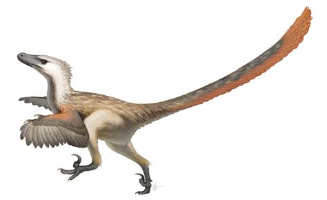 Velociraptor: Quick Facts - Owlcation