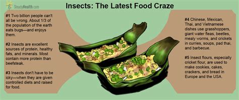 Are Bugs The New Food Craze? The Benefits Of Eating Insects, And Which Insects To Eat ...