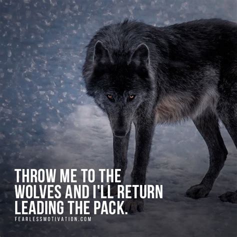 20 Strong Wolf Quotes To Pump You Up | Wolves & Wolfpack Quotes