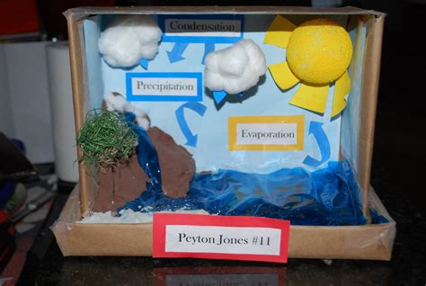 Keeping Up With The Joneses: Water Cycle Project