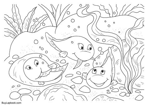 The Life Cycle of a Frog. Free Coloring Pages | BuyLapbook