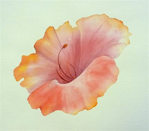 Wet On Wet Watercolor Flowers at PaintingValley.com | Explore collection of Wet On Wet ...