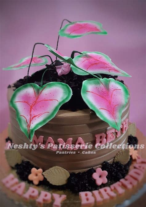 Plantita Themed Cake - Plants in a pot cake ideas | Beautiful birthday cakes, Birthday cake for ...