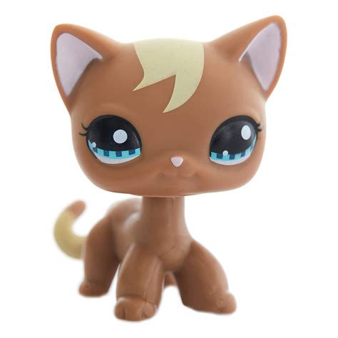 Buy Shorthair Cats Rare Brown Kitty – Little Pet Figure - Blue Eyes Mini Cat - Cute Short Hair ...