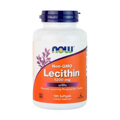 NOW Foods | Lecithin | Brain Supplement | Organic Village