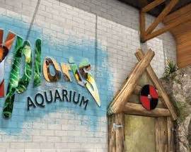 Exploris Aquarium | Northern Ireland Highlights & Hidden Gems | Belfast & Northern Ireland