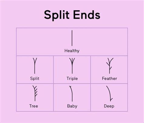 Yes, There Are Different Types Of Split Ends: Here's How To Identify ...