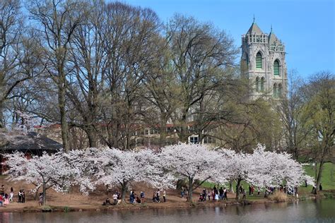 NJ - Newark: Branch Brook Park - Cathedral Basilica of Sac… | Flickr