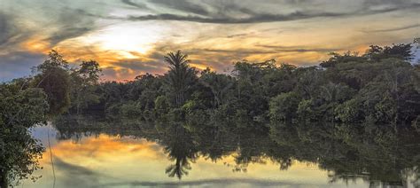 Sunset in the Amazon jungle Photograph by Juan Gabaldon | Fine Art America