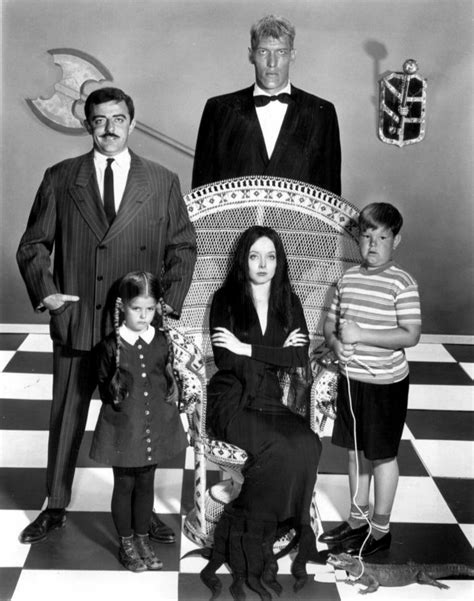 “You Rang?”: The Addams Family: 50 Years Later | Seeker of Truth