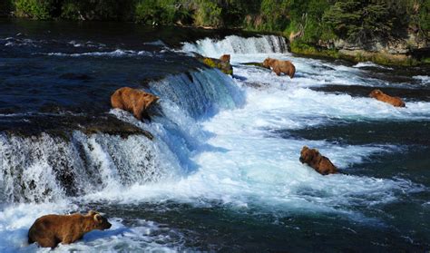 Katmai National Park and Preserve - Seeker