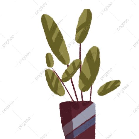 Plant Pots PNG Transparent, Potted Plants, Green Plants, Plant PNG Image For Free Download