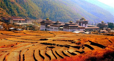 Thimphu, Bhutan: guida ai luoghi da visitare - Lonely Planet