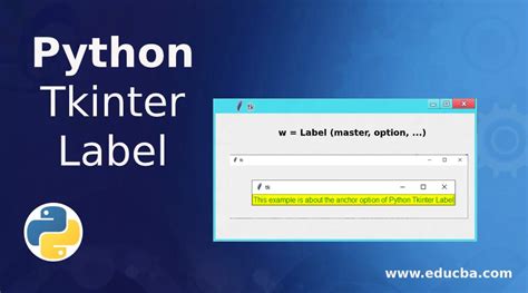 Python Tkinter Label | Options Used in Python Tkinter Label