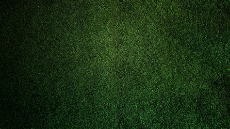 Free stock photo of dark green, grass, grass wall