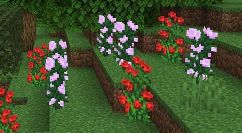 Peony in Minecraft