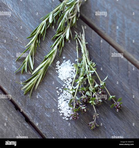 Rosemary and Thyme Stock Photo - Alamy